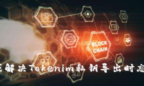 如何找回或解决Tokenim私钥导出时忘记的问题？
