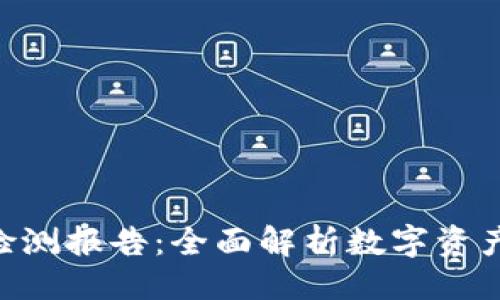 及关键词

Tokenim风险检测报告：全面解析数字资产投资的安全性