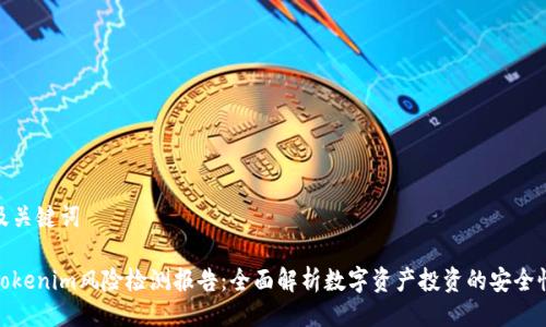 及关键词

Tokenim风险检测报告：全面解析数字资产投资的安全性