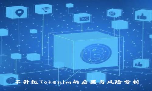 不升级Tokenim的后果与风险分析