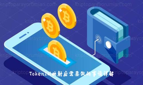 TokenIM映射后需要做的事情详解