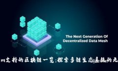 Tokenim支持的区块链一览：探索多链生态系统的无