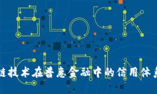 区块链技术在普惠金融中的信用体系构建