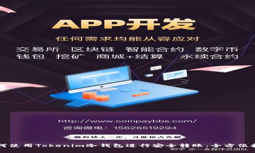 如何使用Tokenim冷钱包进行安全转账：全方位指南