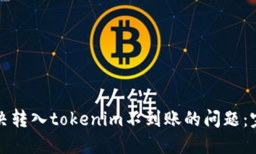 如何解决转入tokenim不到账的问题：完整指南