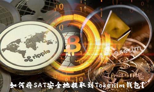   
如何将SAT安全地提取到Tokenim钱包？