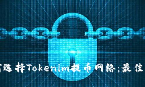 如何选择Tokenim提币网络：最佳指南