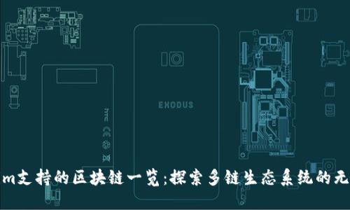 Tokenim支持的区块链一览：探索多链生态系统的无限可能